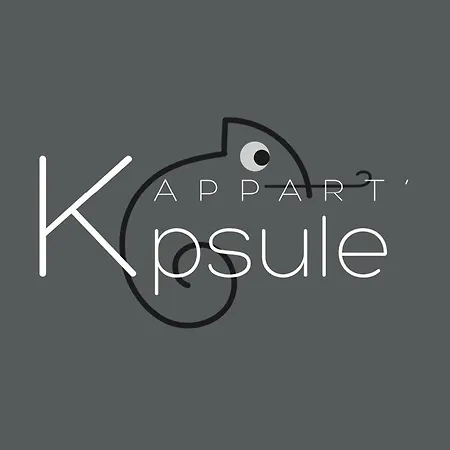L'Appart K-Psule - Design, Tout Confort, Centre-Ville, 3 Pers Le Mans Exterior foto